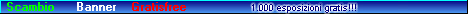 Scambio SBannerGF 